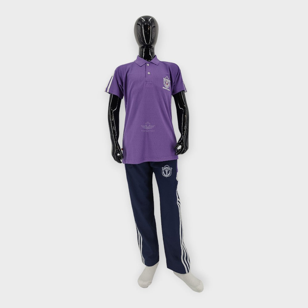 SPORTS T-SHIRT H/S PURPLE (JHELUM) DPS INP DRY FIT MICRO